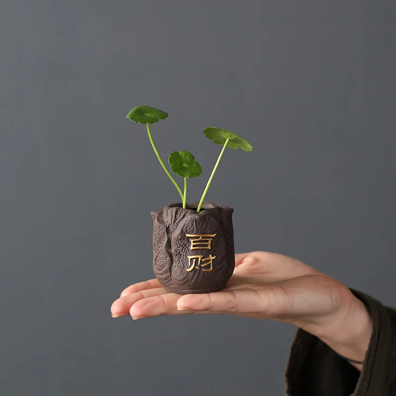 Kreatif Ungu Tanah Liat Teh He - Bonsai Garden Pot ulasan dan harga