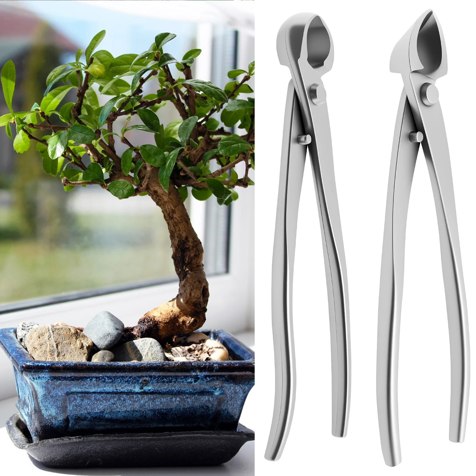 Peralatan Perawatan Bonsai dar - Bonsai Garden Timings ulasan dan harga