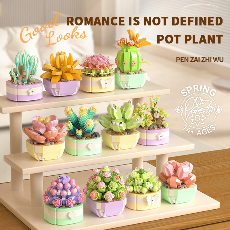 Blok bangunan bunga sukulen bu - Bonsai Garden Pot ulasan dan harga