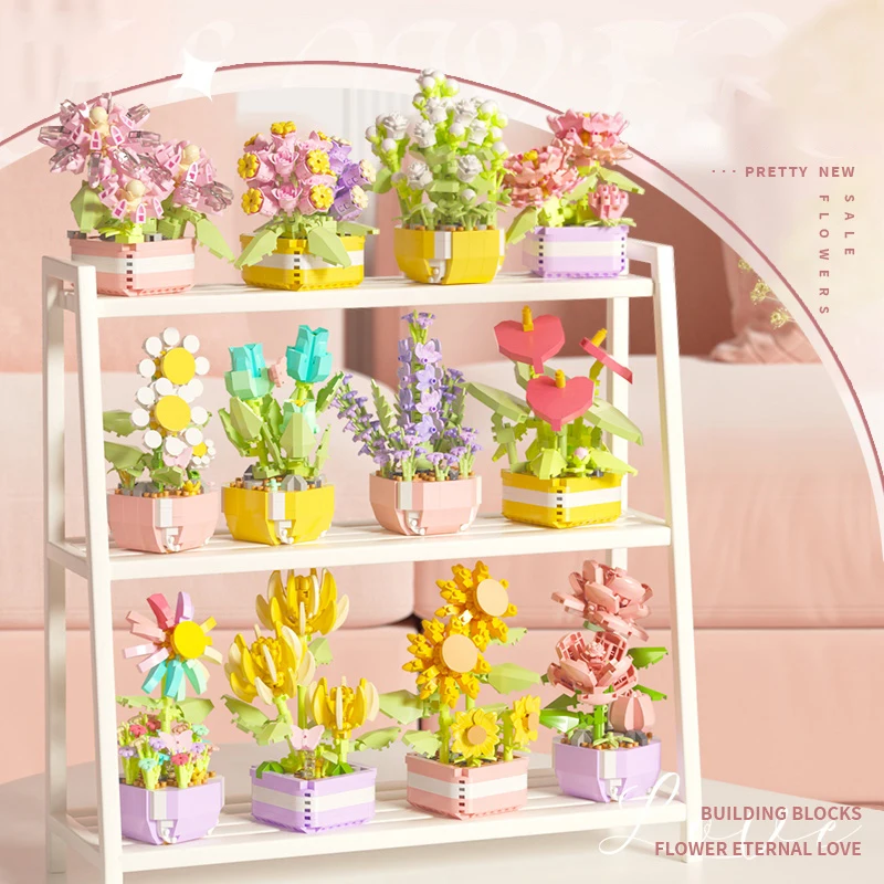 Blok bangunan bunga sukulen bu - Bonsai Garden Pot ulasan dan harga