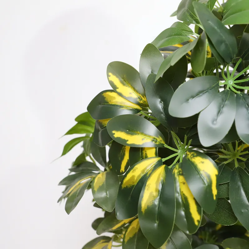 Harga Pabrik Grosir Langsung T - Bonsai Garden Price ulasan dan harga