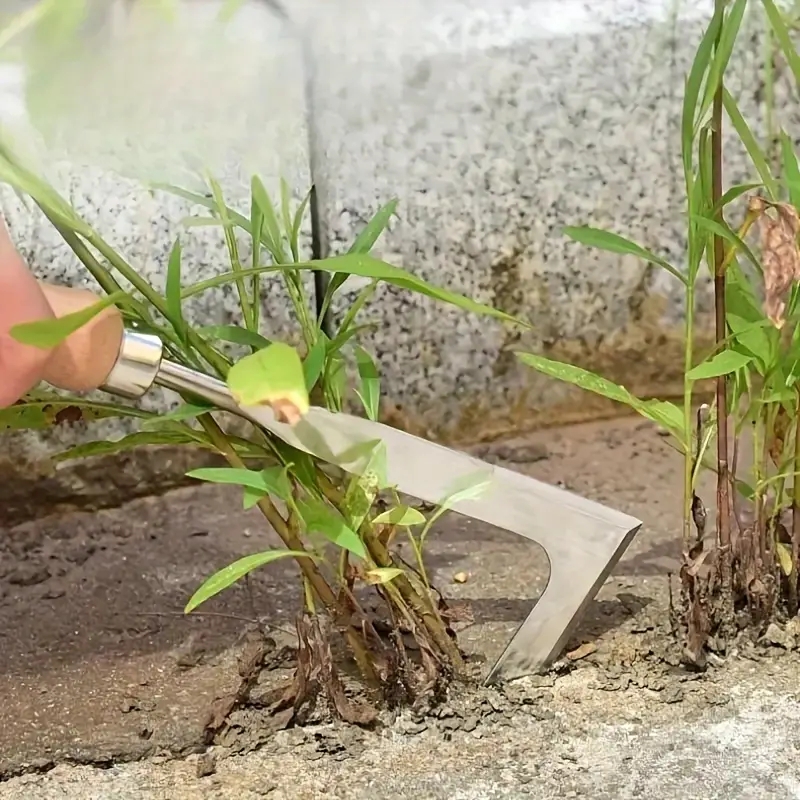 Sekop tangan baja karbon tugas - Soil Scoop Tool ulasan dan harga