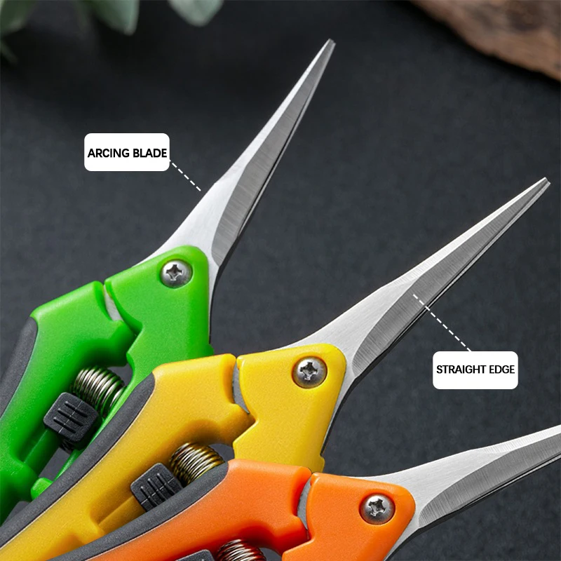 Gunting Pemangkas 7-Inci untuk - Bonsai Garden Timings ulasan dan harga