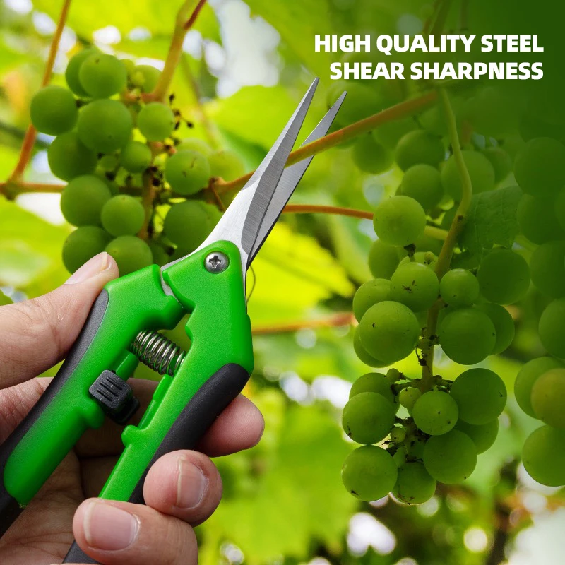 Gunting Pemangkas 6,5 inci unt - Bonsai Garden Timings ulasan dan harga