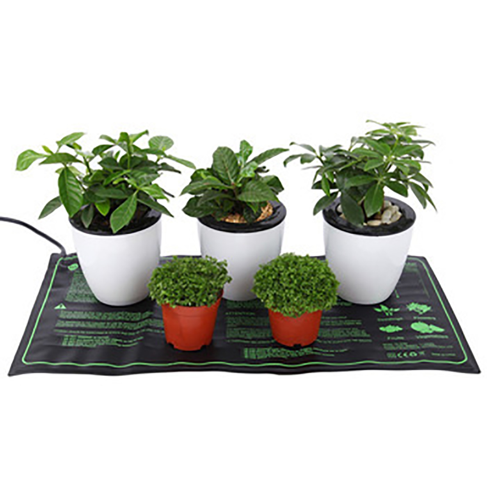 110/120/220/230V Alas Panas Bi - Bonsai Garden Pot ulasan dan harga