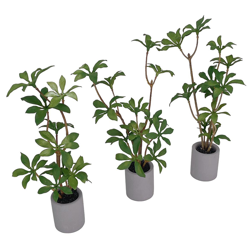 1:6 miniatur rumah boneka Pot  - Bonsai Garden Pot ulasan dan harga