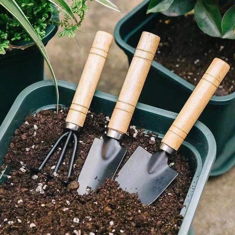3 Buah/1Set Set Alat Berkebun  - Soil Scoop Tool ulasan dan harga