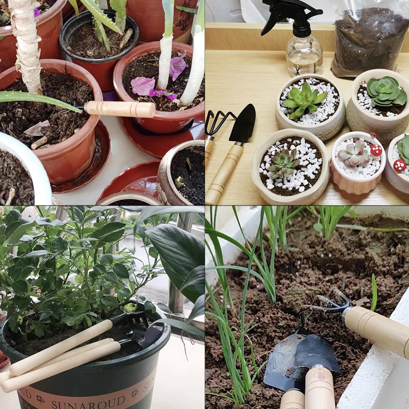 3 Buah/1Set Set Alat Berkebun  - Soil Scoop Tool ulasan dan harga