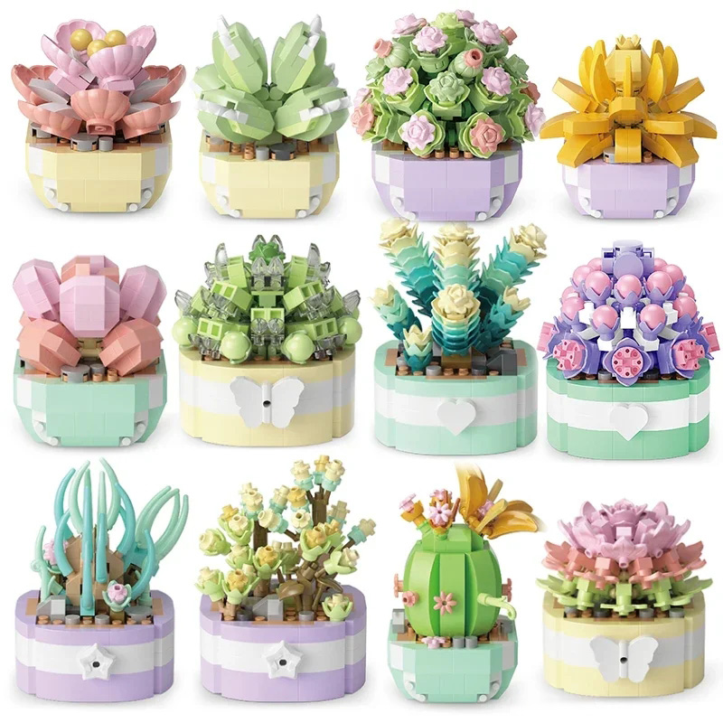 Bunga sukulen blok bangunan ka - Bonsai Garden Pot ulasan dan harga