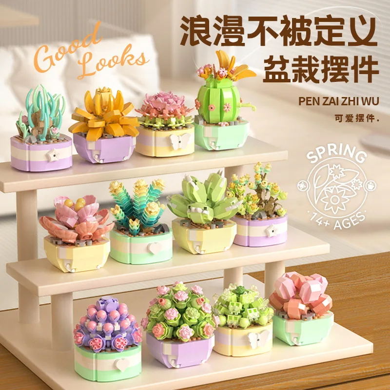 Bunga sukulen blok bangunan ka - Bonsai Garden Pot ulasan dan harga