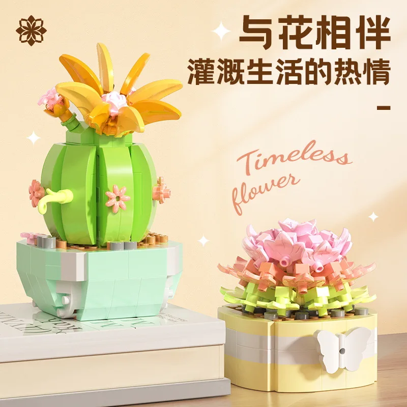 Bunga sukulen blok bangunan ka - Bonsai Garden Pot ulasan dan harga