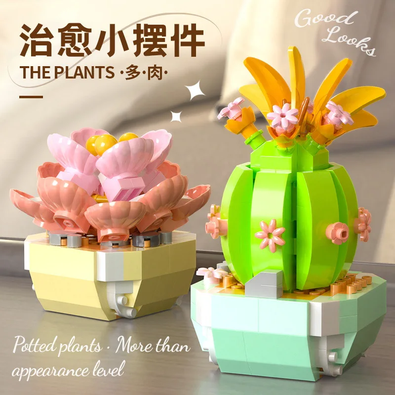 Bunga sukulen blok bangunan ka - Bonsai Garden Pot ulasan dan harga