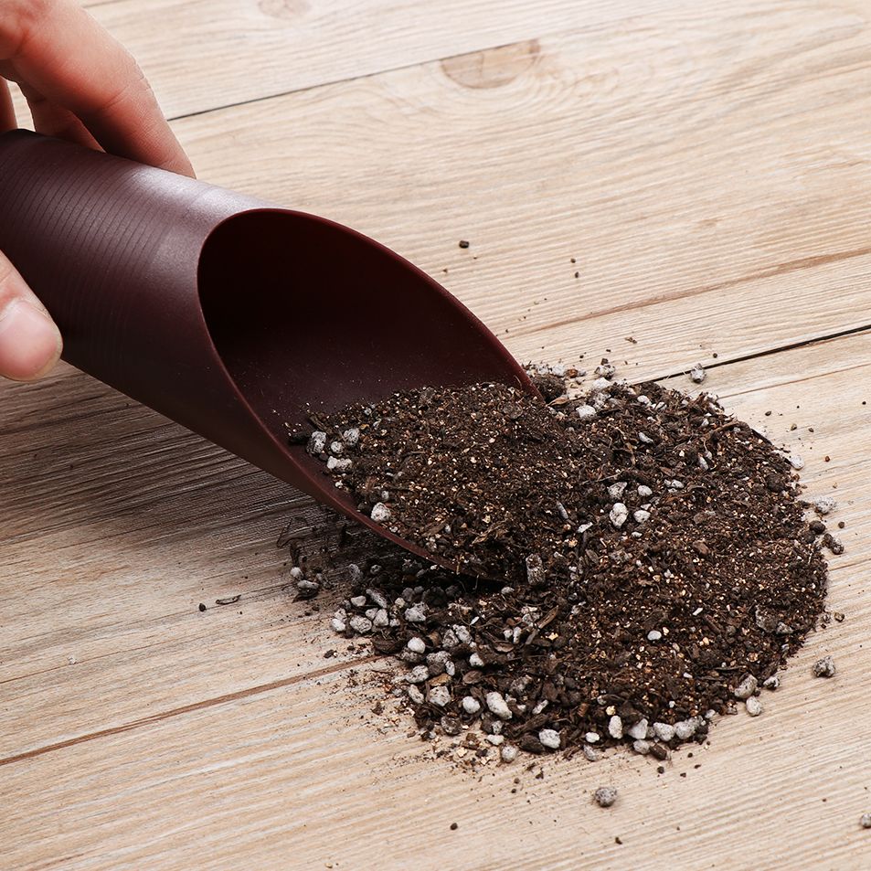 1 Buah Sekop Tanah Plastik Can - Soil Scoop Tool ulasan dan harga